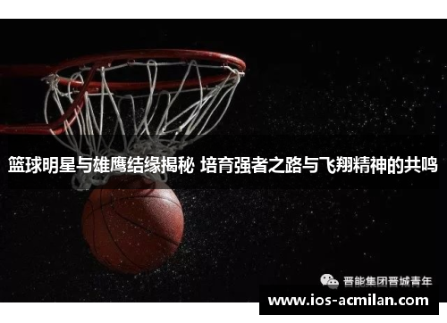 篮球明星与雄鹰结缘揭秘 培育强者之路与飞翔精神的共鸣